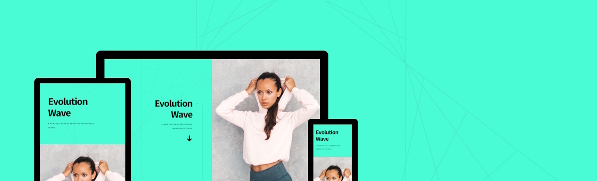 Evolution WordPress Theme - Portfolio Theme